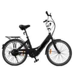 Zebra PM07 Electric Bicycle