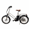 MaximalSG Kudu Electric Bicycle (Used)