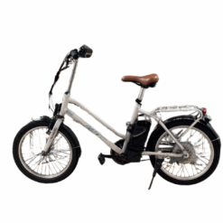 MaximalSG Kudu Electric Bicycle (Used)