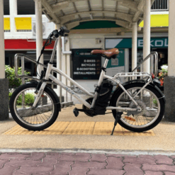 MaximalSG Kudu Electric Bicycle (Used) - Outdoor
