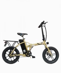 Kernel ORCA Electric Bicycle
