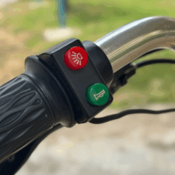 MaximalSG Kudu Electric Bicycle (Used) - Control