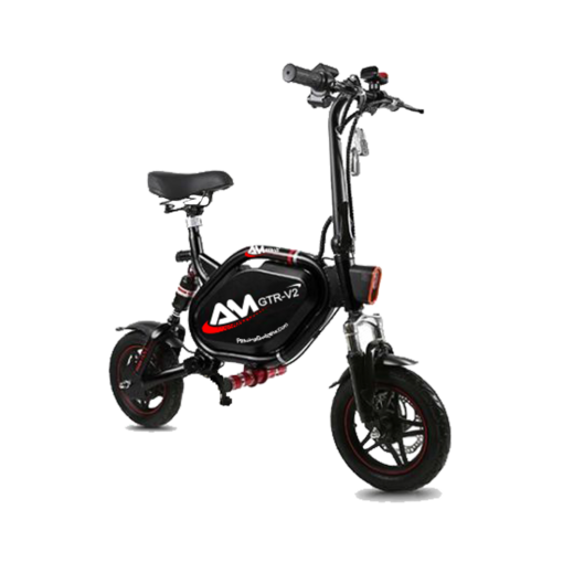 Passion AM GTR V2 Electric Scooter