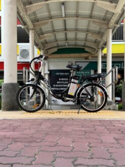 Express Drive Electric Bicycle (Used) - Side View