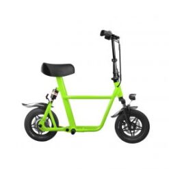 Fiido Q1S Electric Scooter