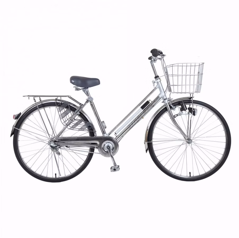 Ethereal Vintage Classic City Bicycle