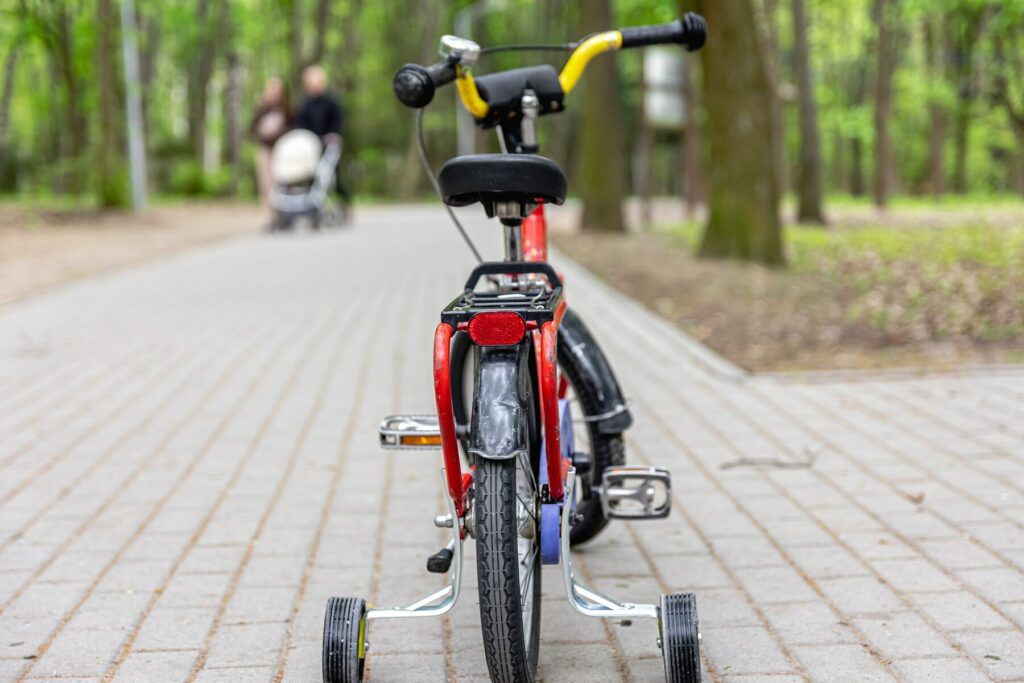Electric Bicycle For Beginner
