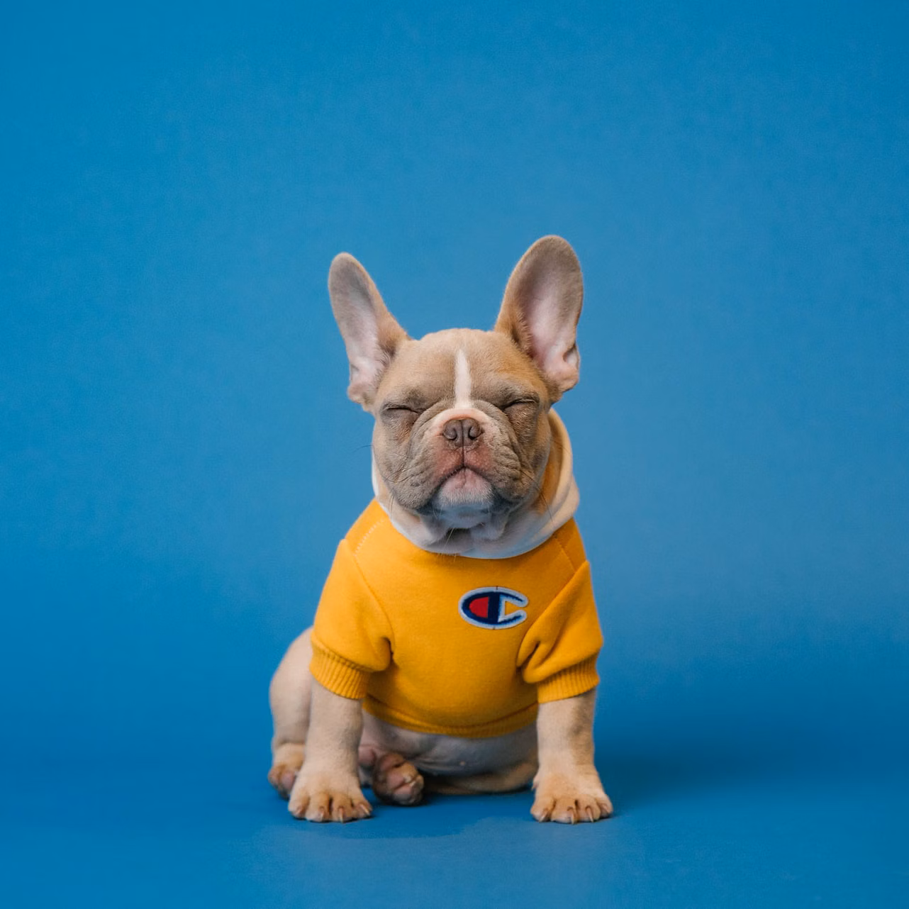 Karsten Winegeart outdoor scene with modern architecture and clear blue sky