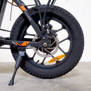Orca E-bike - Tyre Zoom