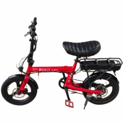 YY Scooter Rogi Pro Electric Bicycle (Used)