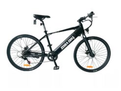 Zebra Ebike Model M Electric Bicycle