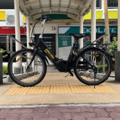 Used Zebra Electric Bicycle - Outdoor