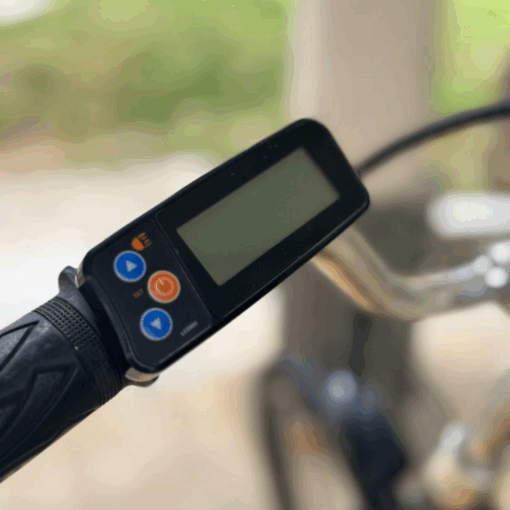 Used Zebra Electric Bicycle - LCD