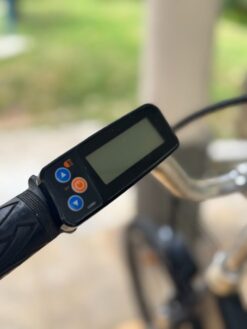 Refurbished Zebra Ebike Used Ebike - LCD