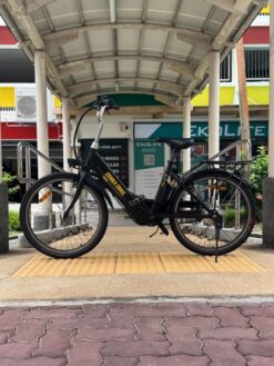 Refurbished Zebra Ebike Used Ebike