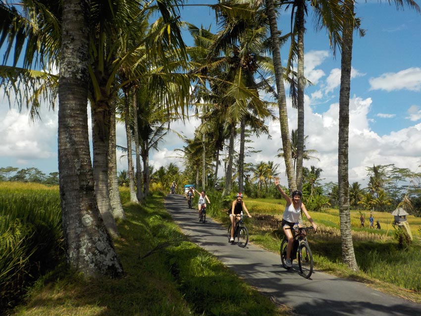 Top Reasons to Choose Ebike in Bali