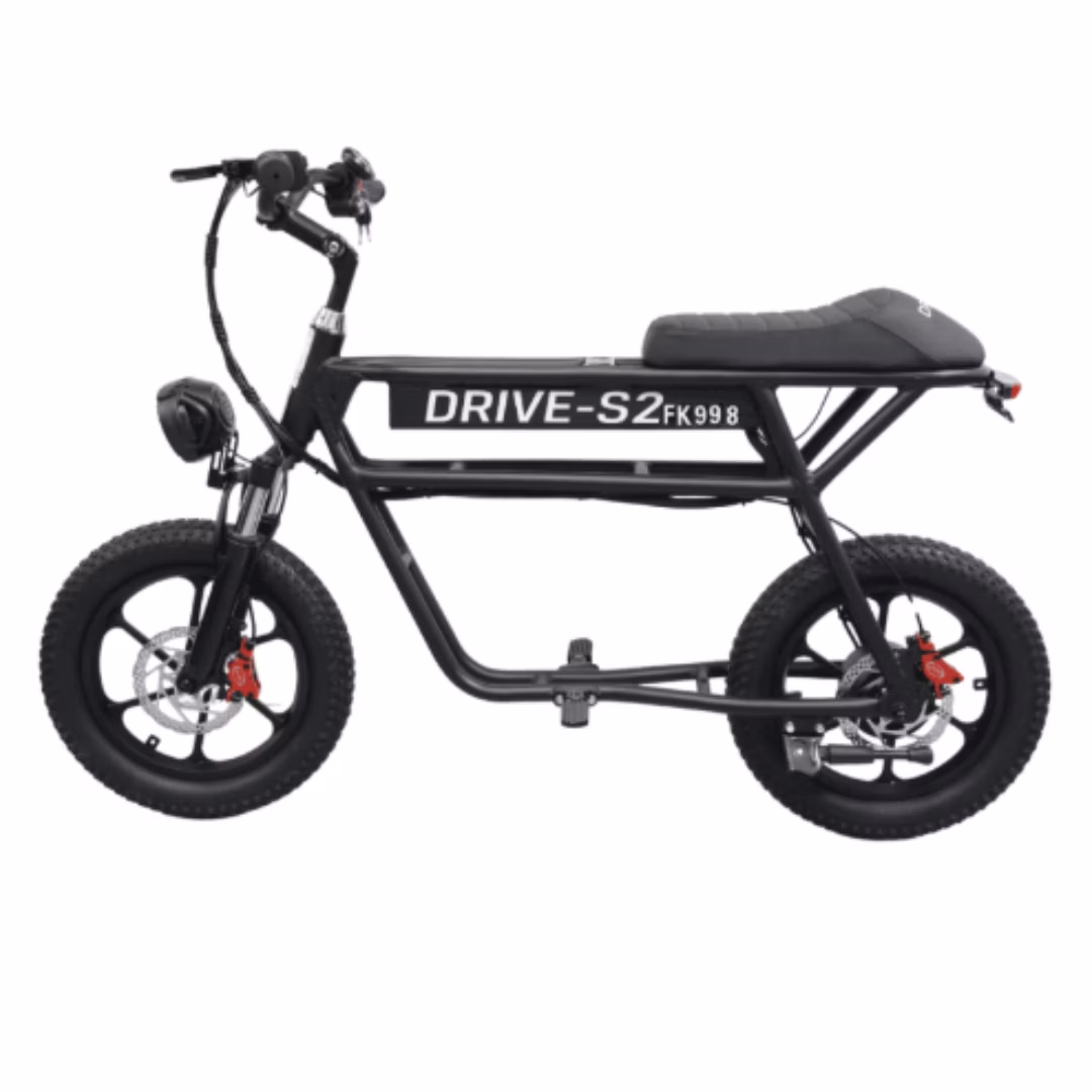 Express Drive S2 Electric Scooter