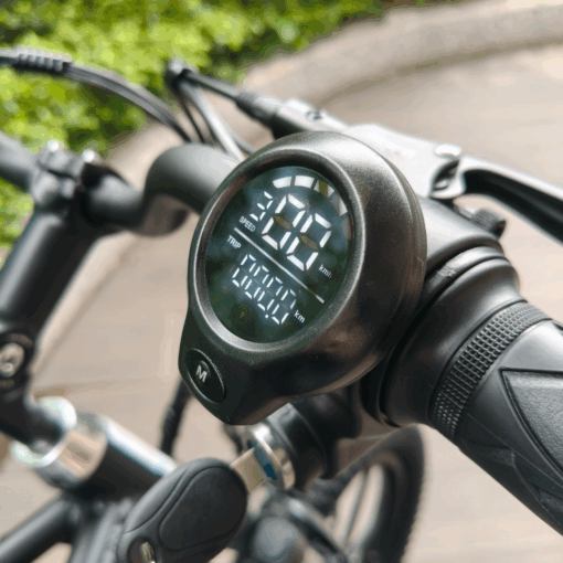 Express Drive S2 Electric Scooter - LCD