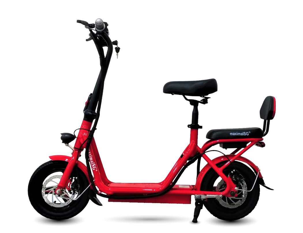 Electric Scooter - MaximalSG F09