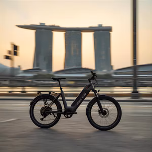 ebike range singapore
