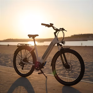 ebike maintenance singapore