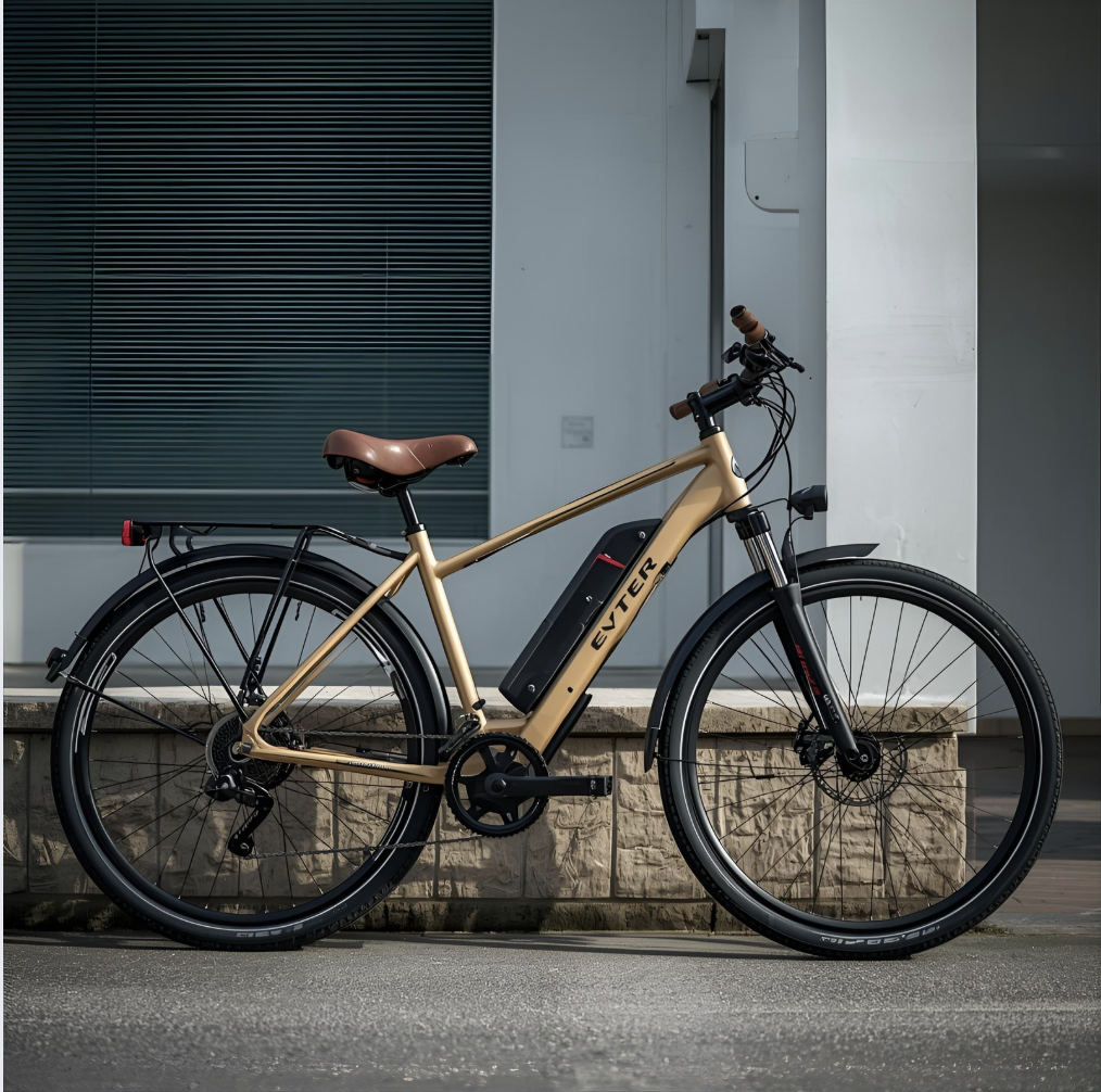 ebike battery care singapore