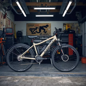 ebike repair shop singapore