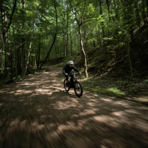 mid-drive motor ebike